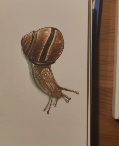 tabula_okrasa - @Apaturia cienie nie są moją mocną stroną, ale rzeczywiście jest różn...