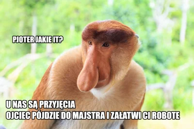 maraszarazgo_udusisz - @Ap-maokai-abuser: