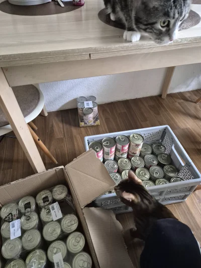 Lujdziarski - #pokazkota #dziarskikacperek Układanie zapasów całych tych, a w tle pus...