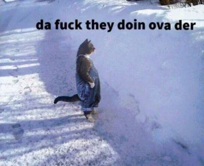 Dopopopulis - #wybory  Tymczasem w pozostalych krajach UE