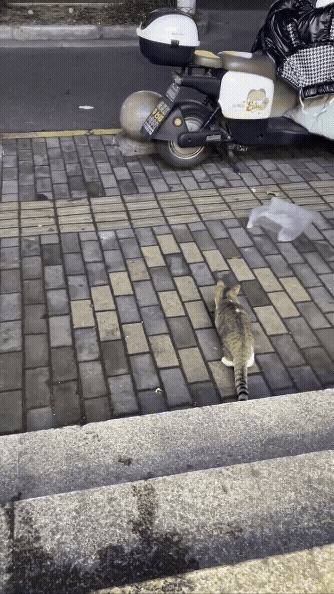 jestemtakizmeczony - @jestemtakizmeczony: