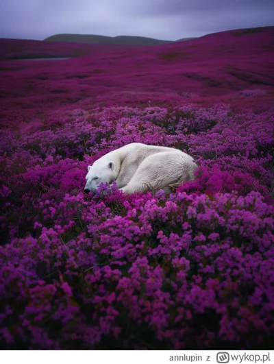 annlupin - dobranoc albo miłego dnia dla was