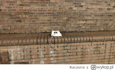 Kaczorra - Jakby ktoś potrzebował, to w #bielskobiala na murach żelazko sobie czeka (...