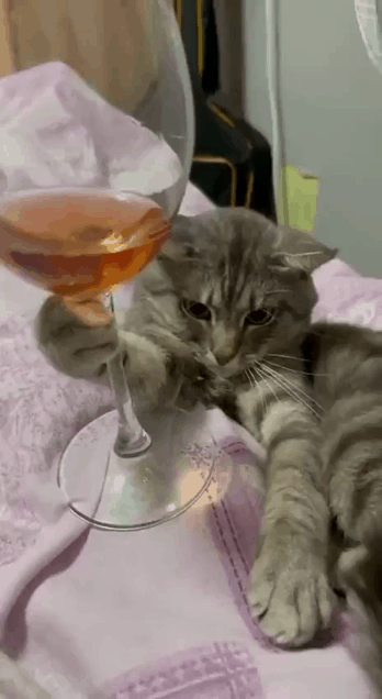 J3bacz2000 - @Strigon: zdrowie