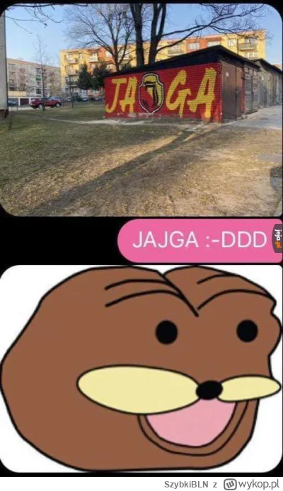 SzybkiBLN - #mecz #spurdo