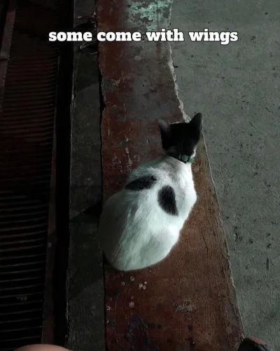 Timer_555 - #przegryw