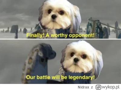 Nidrax - @Poza-kontrolo: