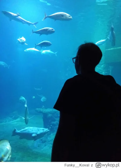 Funky__Koval - Wróciłem z blokady, chciałem coś napisać do admina ale....


... ale j...