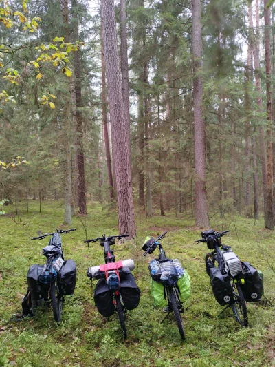 Brydzo - Podlasie #rower #bikepacking