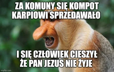 Michal_Spira - #konkursnanajbardziejgownianymemznosaczem #heheszki