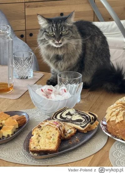 Vader-Poland - #pokazkota #koty #codziennapheuka #atencyjnykot  
Dawaj ciasto.