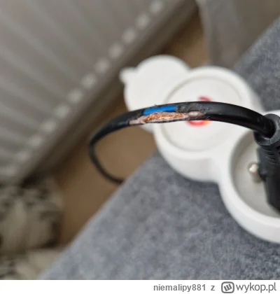 niemalipy881 - #elektryka #kabel

Gryzoń, pod moją nieuwagę, podgryzł mi kabel od lam...