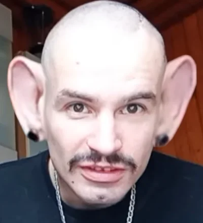 Profesor_Ptak - Pytasi sie mje nieraz niedwa kiedy stream inerzeszy…wizowie,to od was...