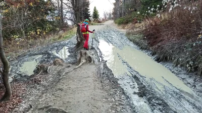 Indeo - Byłem na Turbaczu dwa lata temu. Szlak miejscami jest rozjechaną przez samoch...