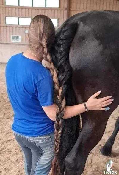 czlowiekzlisciemnaglowie - #bekazpodludzi #koniary #konie #rakcontent