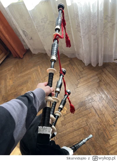 Skurviduplo - @kwark64: powiem więcej- ktoś nie pomylił dudy z kobzą, a to już podcho...