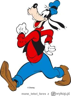 manetekelfares - Ten Darek Włoszczyzna przypomina mi psa Goofy'ego, nawet nie tyle z ...