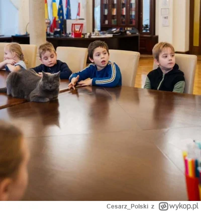 Cesarz_Polski - #kotekwrocek #wroclaw