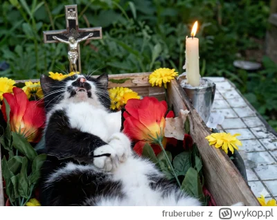 fruberuber - @janek_kombajnista: (ꖘ‸ꖘ)