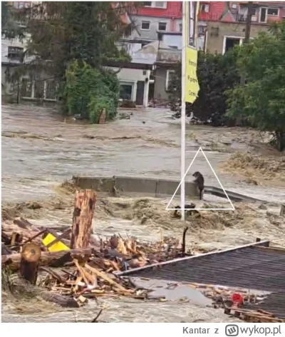 Kantar - Uwaga ktoś z powrotem odstawił psa na rzekę :/
#powodz