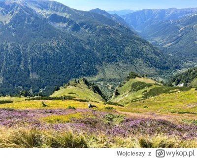 Wojcieszy - #gory #tatry