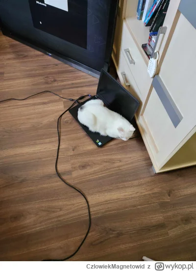 CzlowiekMagnetowid - Biodetektor wykrył przegrzewanie gpu przy wskrzeszaniu 15 letnie...