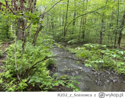 R2D2zSosnowca - @R2D2zSosnowca: nie widać tego na zdjęciach ale wszytko dookoła wyraź...