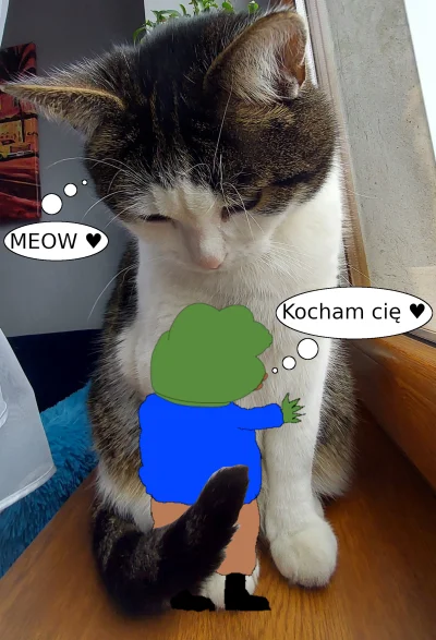 d.....a - @Scarface83: Prawdziwa, szczera, kocia miłość.