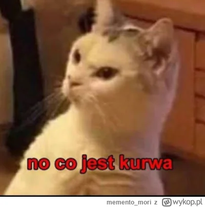 memento_mori - @Kasahara: tak wyglądam widząc kolejny wpis o ciągu ~300kg w tym tygod...