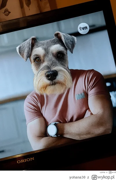 yohana30 - @czims: ja widzę w nim takiego zbłąkanego sznaucera