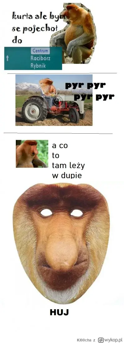 Cerb3rusPL - #konkursnanajbardziejgownianymemznosaczem 
#kolekcjaklasyki