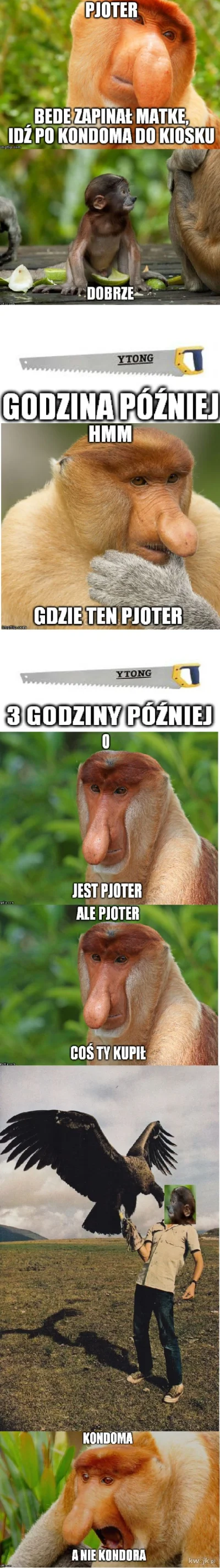 Rad-X - #konkursnanajbardziejgownianymemznosaczem