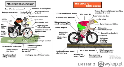 Elessar - @login_cwiczebny: Koła to Giant SLR1 ze stożkiem 55mm, a napisy to inwencja...