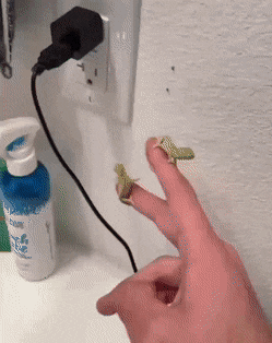 wfyokyga - Ale małe laguny