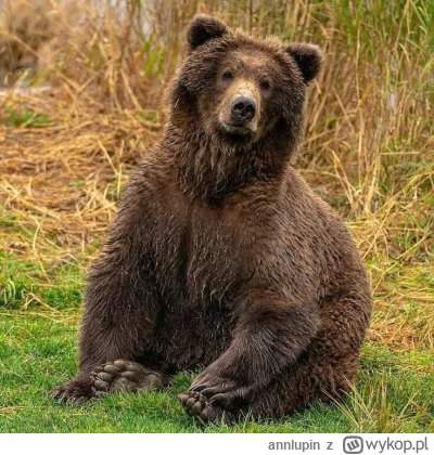 annlupin - @wfyokyga: co tam jesz