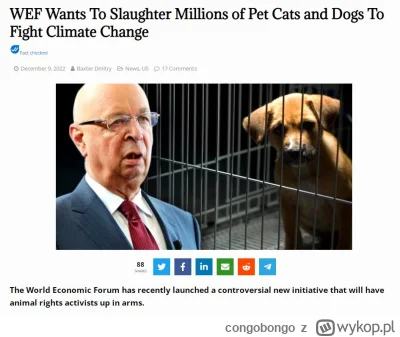 congobongo - I wszystko jasne. Ja wiem od kogo wy są

#psy