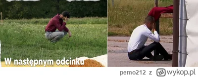 pemo212 - #rolnikszukazony