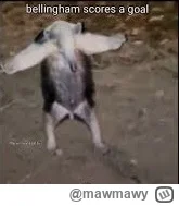 mawmawy - #mecz ( ͡° ͜ʖ ͡°)