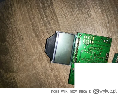 nosilwilkrazykilka - @nosilwilkrazykilka: