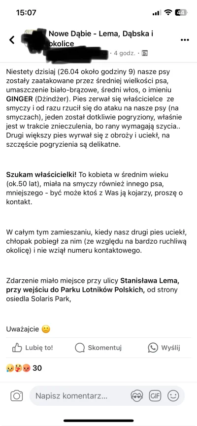 nick230 - Klasyg. Kundel właścicielki w nagrodę ugryzie kogoś innego za parę dni (ʘ‿ʘ...