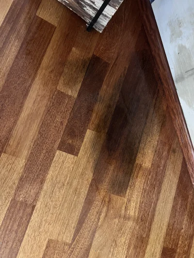 Toxicat13 - Ratunku. Mój kot nasikał w newralgicznym miejscu - pod kominkiem, gdzie b...