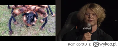 PomidorXD - Co lepsze? ( ͡° ͜ʖ ͡°)
#famemma