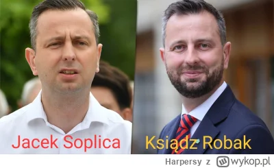 Harpersy - #wybory #kosiniak #kamysz #3d ( ͡° ͜ʖ ͡°)
