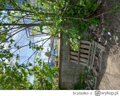 Scybulko - @umiar  @mp3maniak  @Don_kiszot 

Jest przejście przez siatke, dzięki ( ͡º...