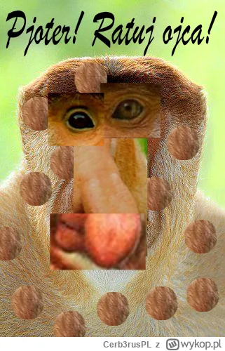 Cerb3rusPL - #konkursnanajbardziejgownianymemznosaczem