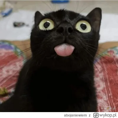 abojaniewiem - @Imperator_Wladek: