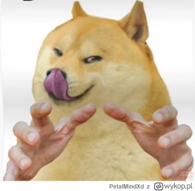 PetalMindXd - @Meister431: