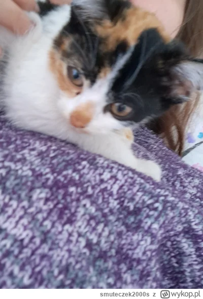 smuteczek2000s - Małgośka jeszcze nie wie co się odwala w jej życiu i czemu jakaś bez...