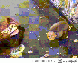 H_Dworniok2137 - @PanRatel: ja zdążyłem ( ͡° ͜ʖ ͡°) proszę bardzo