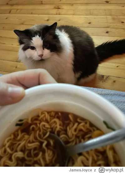 JamesJoyce - #koty #kitku

Kot chce mi zjeść Vifona. Jaka kara za to się należy?